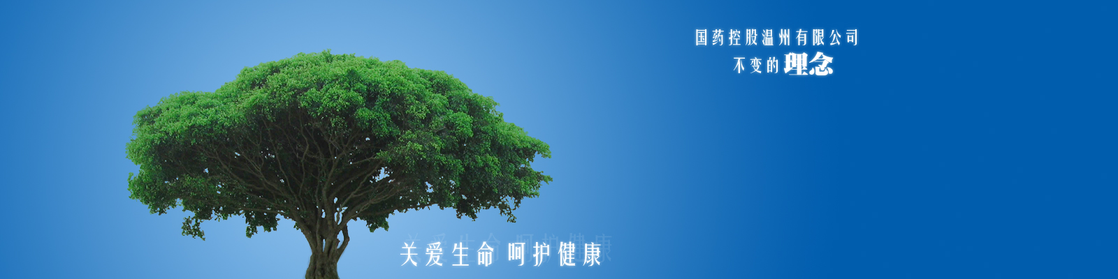 鄭州華之強(qiáng)重工科技有限公司